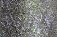 Chillerton fibreglass roof work